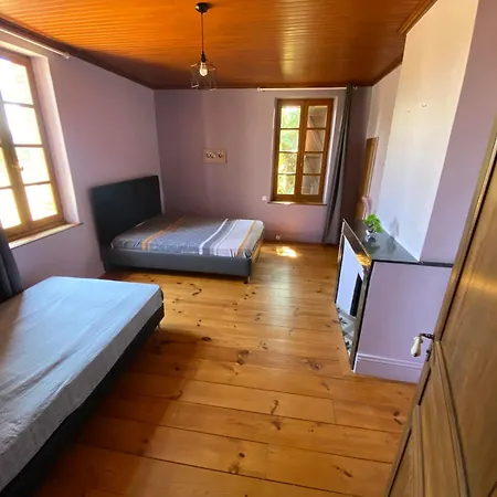 Villa Domaine Prive Avec Piscine Et 5,5 Hectares Nègrepelisse