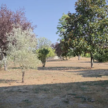 Domaine Prive Avec Piscine Et 5,5 Hectares * Nègrepelisse